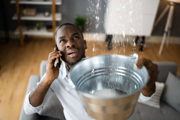 Best Water damage restoration near me  in Crestline, CA