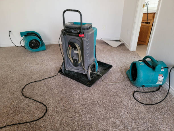 Water damage restoration insurance claims in Crestline, CA