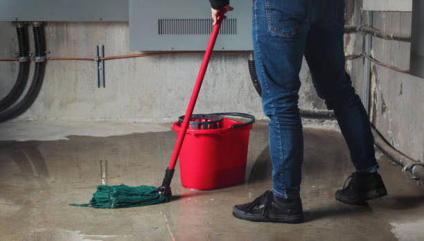 Water damage restoration mold remediation in Crestline, CA