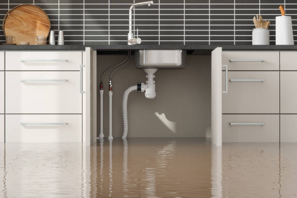 Best 24/7 water damage repair  in Crestline, CA