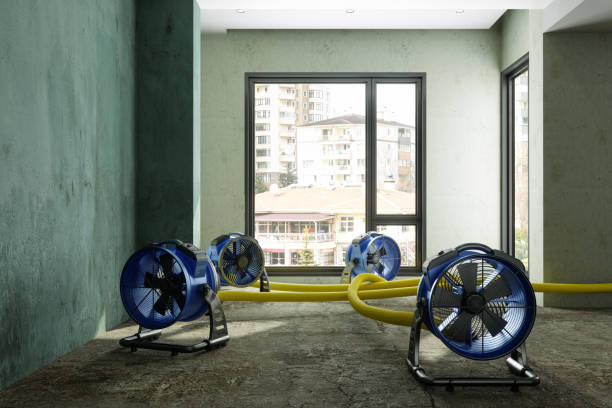Best Water damage restoration cost  in Crestline, CA